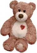 Tender Teddy